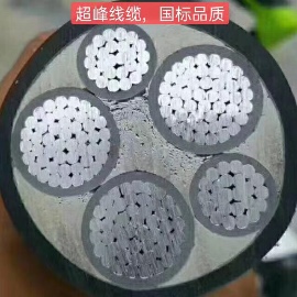 纯国标电线电缆